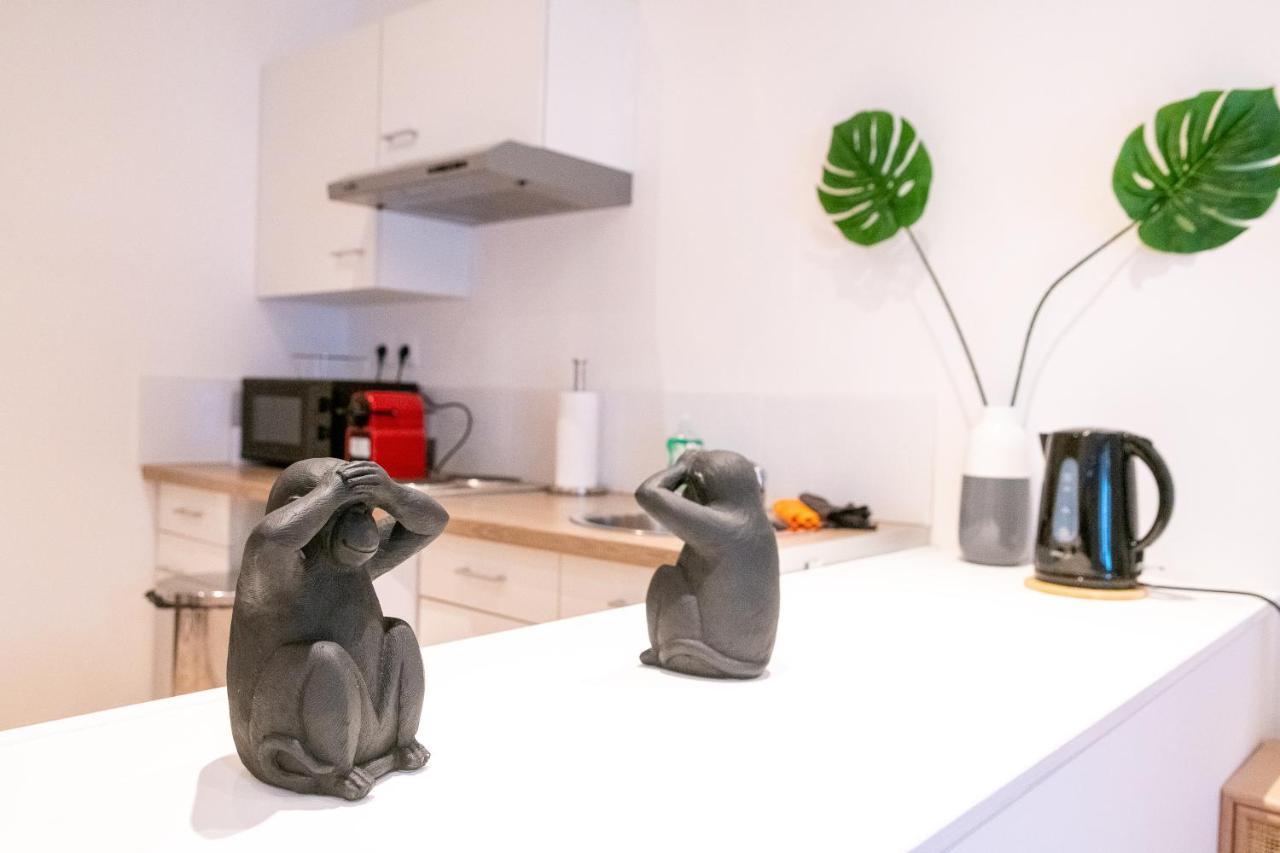 Cosy Location - Confortable, Cosy Et Equipe - Places Gratuites A Proximite Anzin Eksteriør bilde