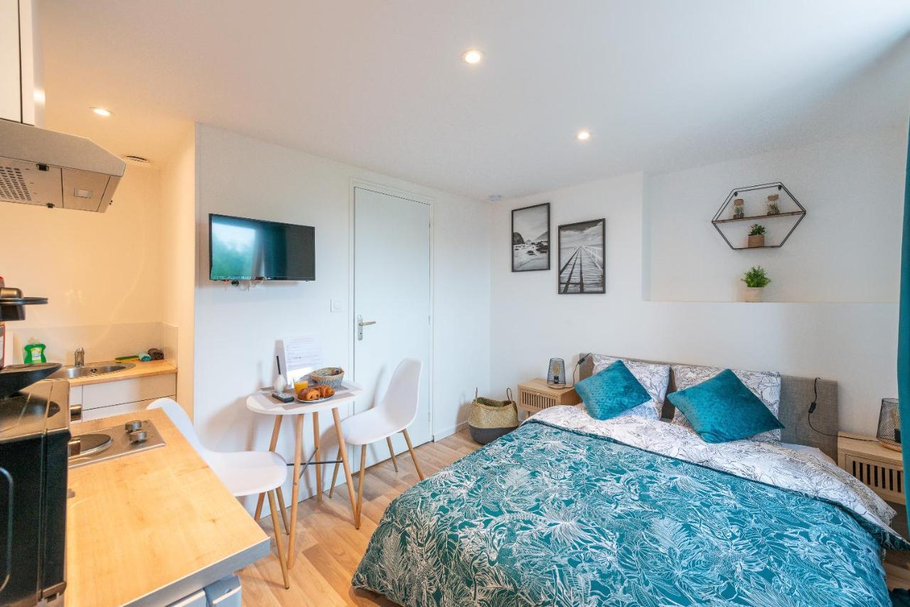 Cosy Location - Confortable, Cosy Et Equipe - Places Gratuites A Proximite Anzin Eksteriør bilde